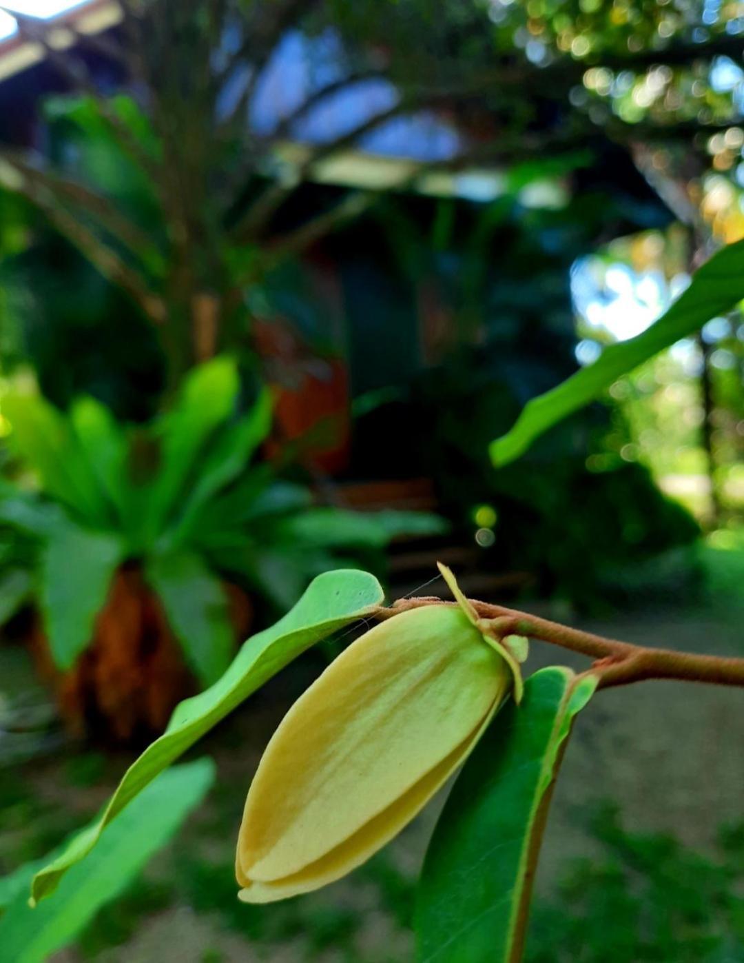 Tuaprodhome Khao Lak Room photo
